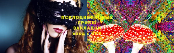 амф Алзамай